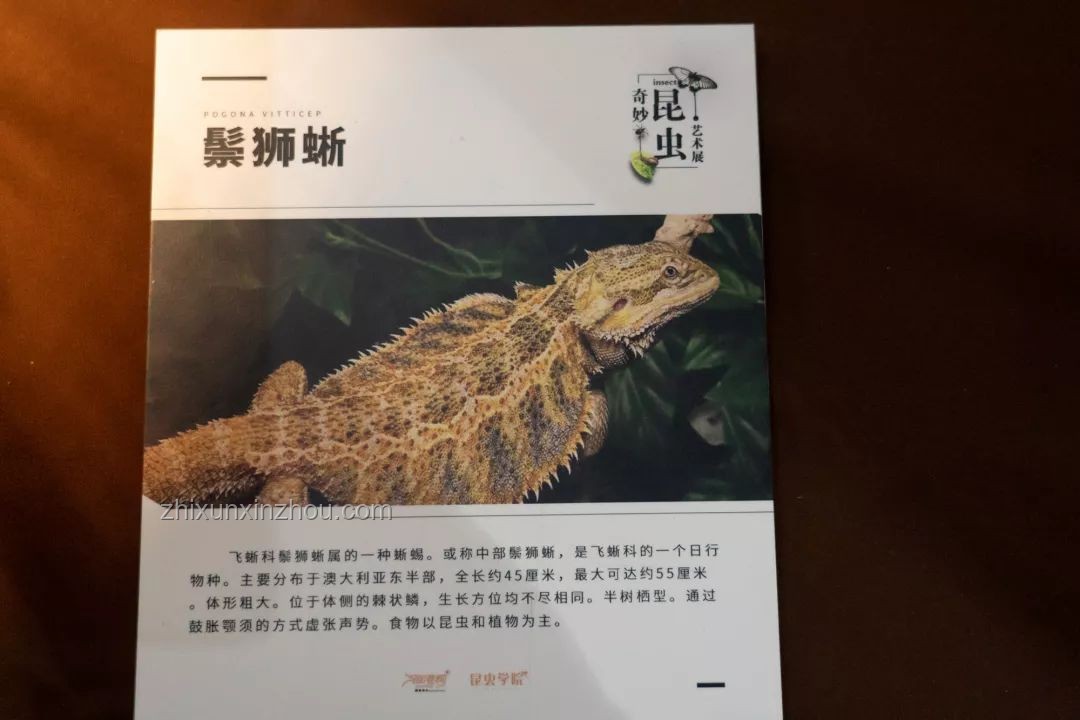 《吸呀吸曠世奇蚊》：一部揭示吸血蚊生態(tài)與防制的深度紀錄片