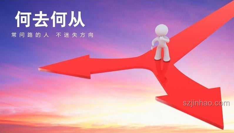 逐火的夢與現實：理想與現實生活的對比分析