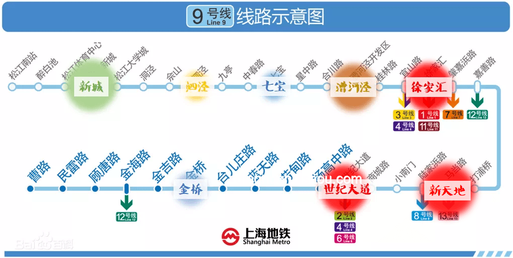 逐火的夢與現實：理想與現實生活的對比分析