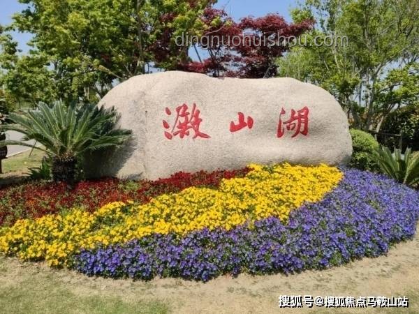 特廚探店指南：解鎖上海食廬餐廳美食密碼