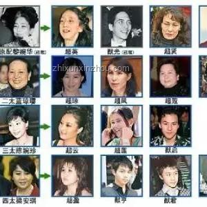 求婚啟示錄：用創(chuàng)新思維點亮愛情新篇章，跨界浪漫