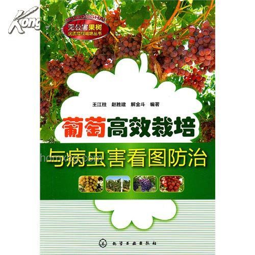 兔兔種田問題解決方案：高效種植與管理