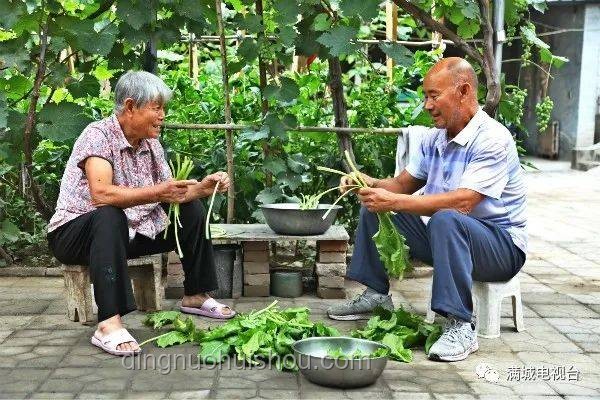 兔兔種田:打造家庭小菜園的全攻略 兔兔種田:打造家庭小菜園的全攻略