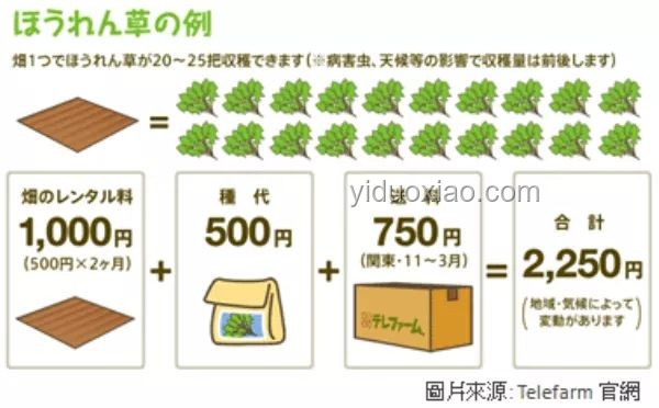 兔兔種田：現代農業中的創新實踐與趨勢分析