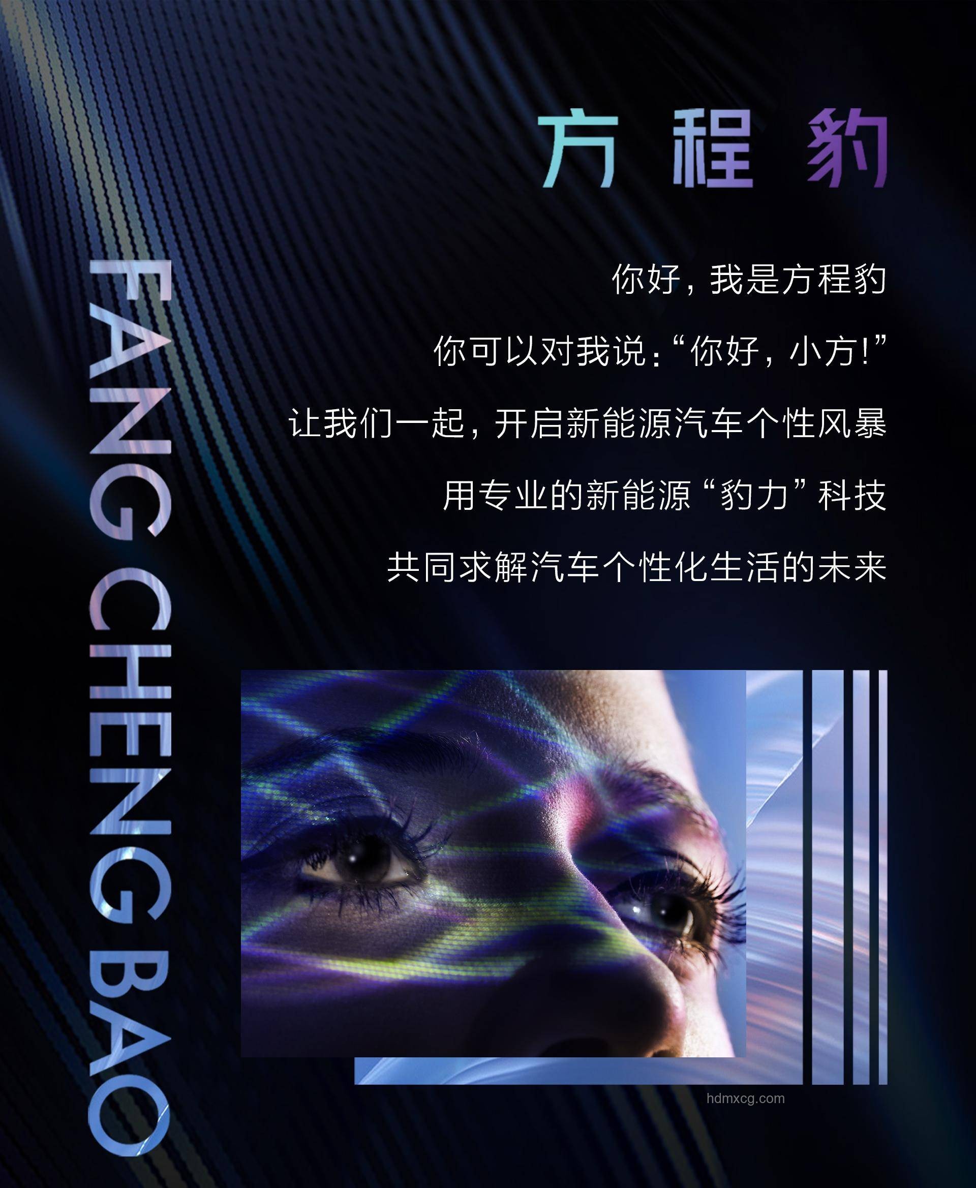 《狼王夢(mèng)》勵(lì)志版趨勢(shì)：生命力量引領(lǐng)心靈覺醒與成長(zhǎng)新路徑