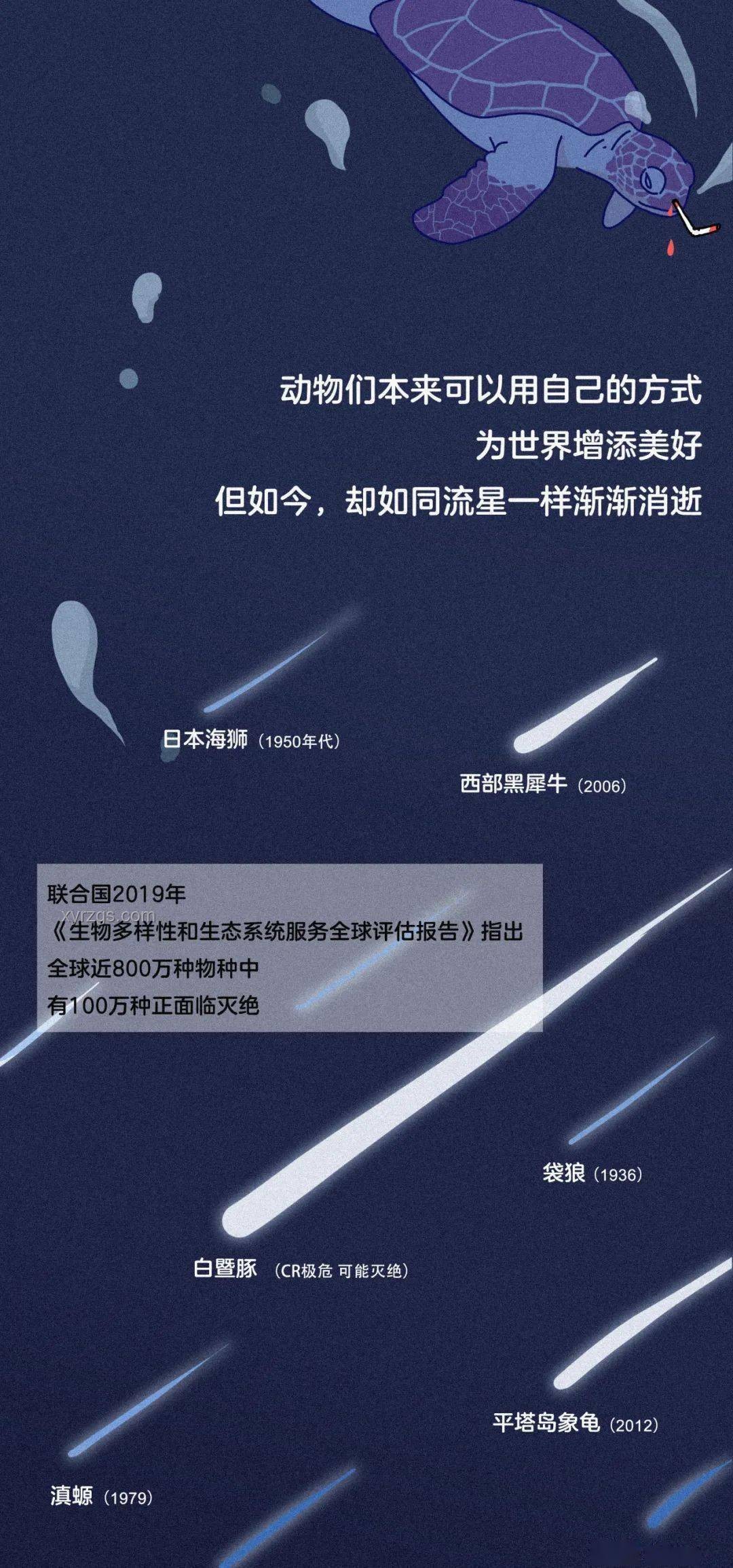 出海遇險，九條命的奇跡與反思
