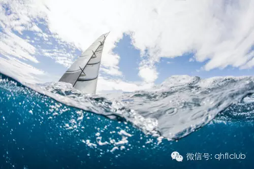 出海遇險，九條命的奇跡與反思