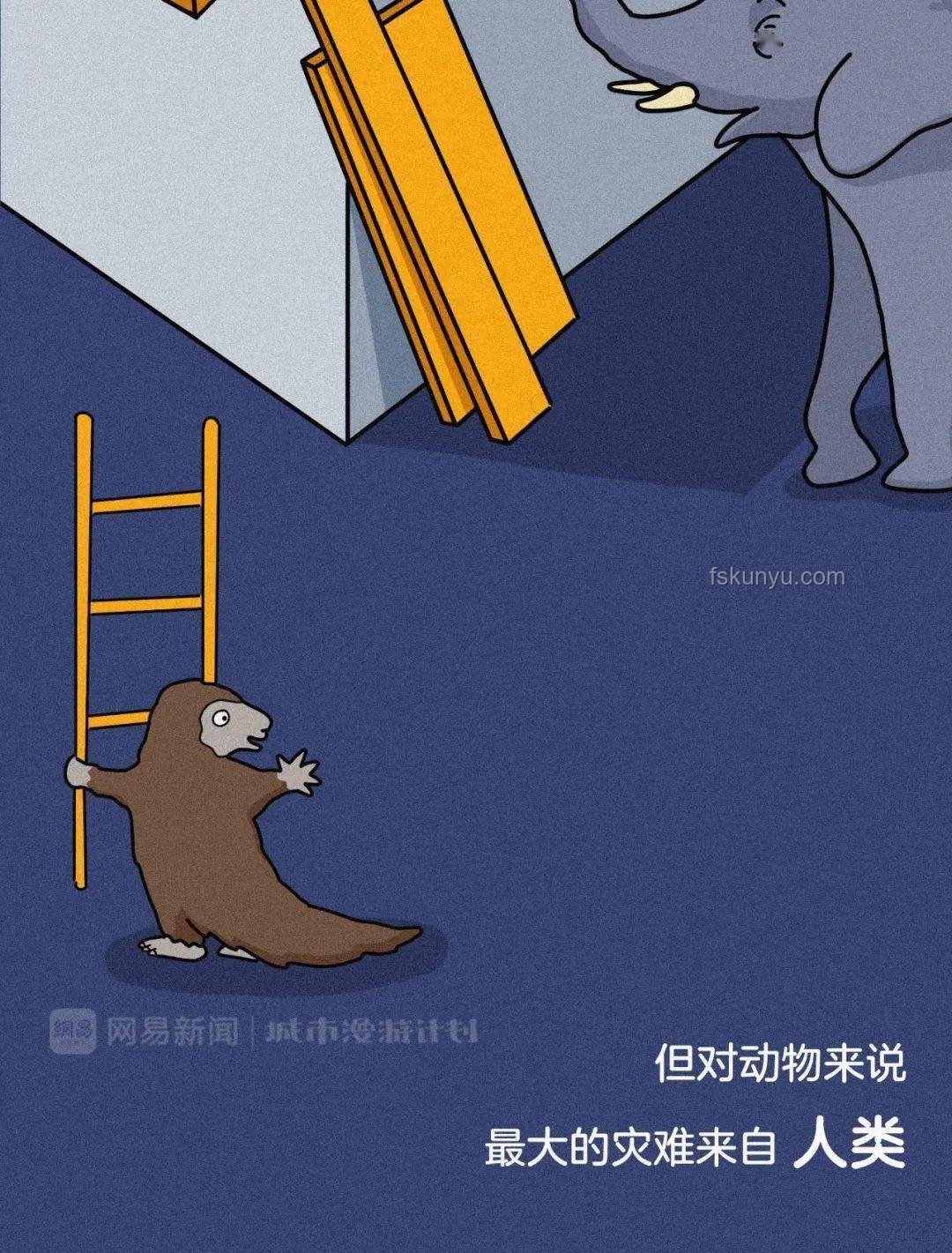 出海遇險，九條命的奇跡與反思