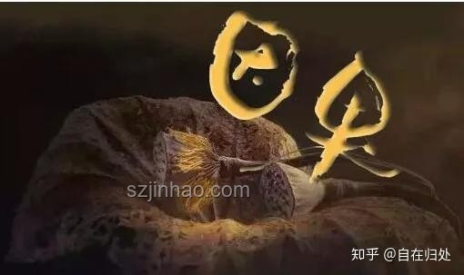深度解析宿世因果：金長(zhǎng)老的匆匆那年與無(wú)底洞再續(xù)前緣實(shí)用指南