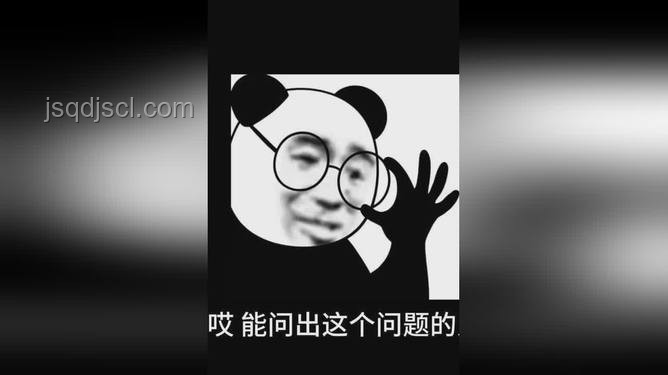 雞窩不生蟑螂之謎：衛(wèi)生管理與生態(tài)平衡的深度洞察
