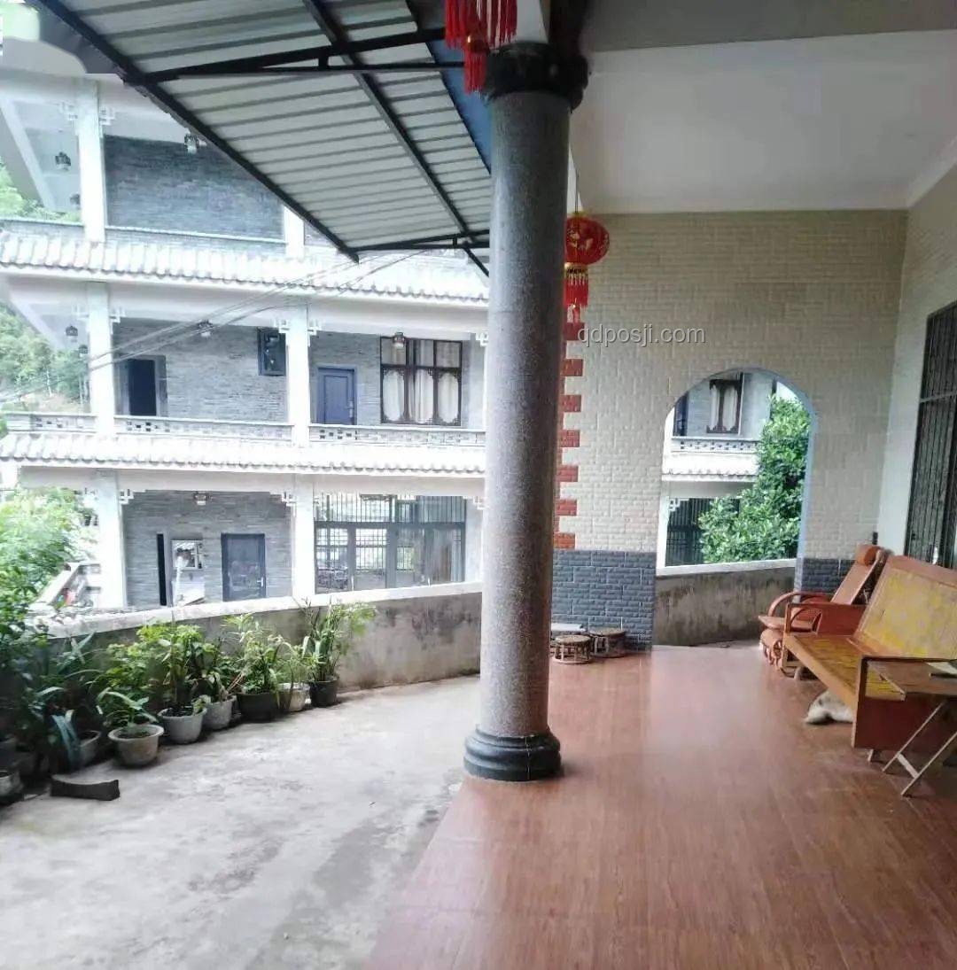 雞窩不生蟑螂之謎：衛(wèi)生條件與生態(tài)平衡解析