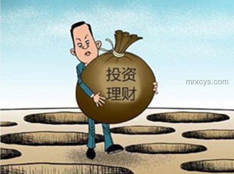 雞窩不生蟑螂之謎：養殖業衛生管理的深度洞察