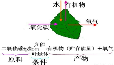 這一刀，拯救隊友于水火：精準戰術切割在團隊協作中的關鍵作用