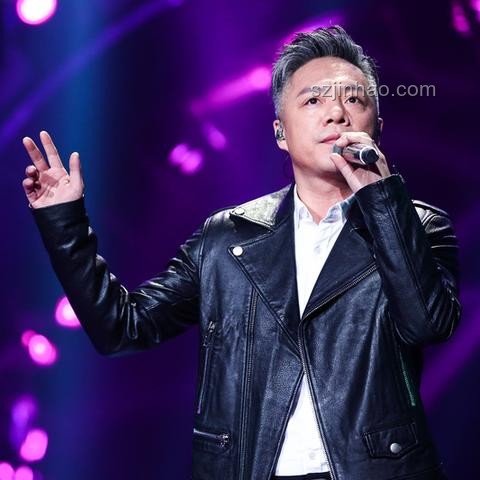 幕后歌手與知名作品的對比分析：“你可能不認識我，但你一定聽過我的歌！”