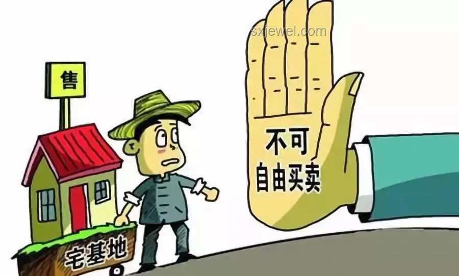 賽博法庭3：動畫辯論界限案例研究——童年動畫與現代動畫的辯論權限