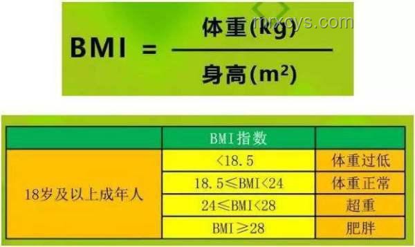 “183的馮律師”含義探析：身高？體重？還是專業影響力？