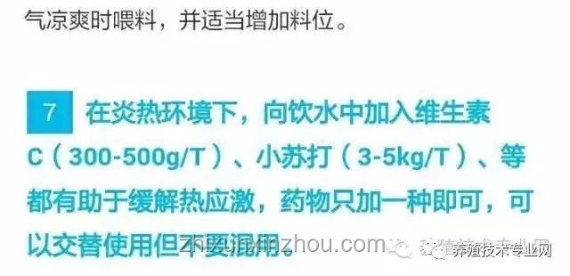 被指魔法：夏日防蚊新思維，跨界玩轉“不咬定律”