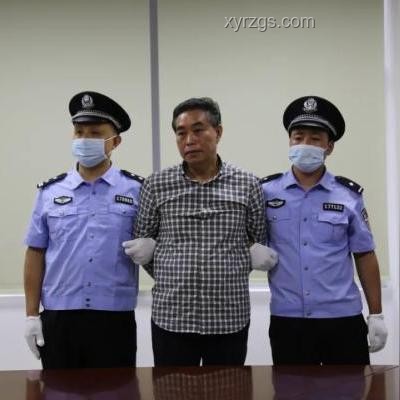 中紀委發布6月反腐月報：深度剖析反腐斗爭新態勢