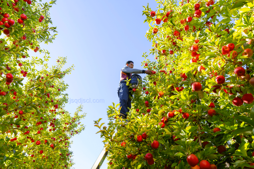 7月開始超級無敵幸運吧：幸運轉變與策略分析
