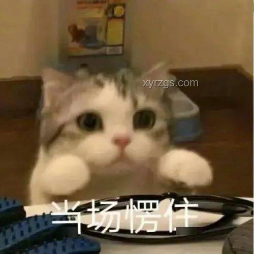 7月開始，我迎來了超級無敵幸運時刻！??