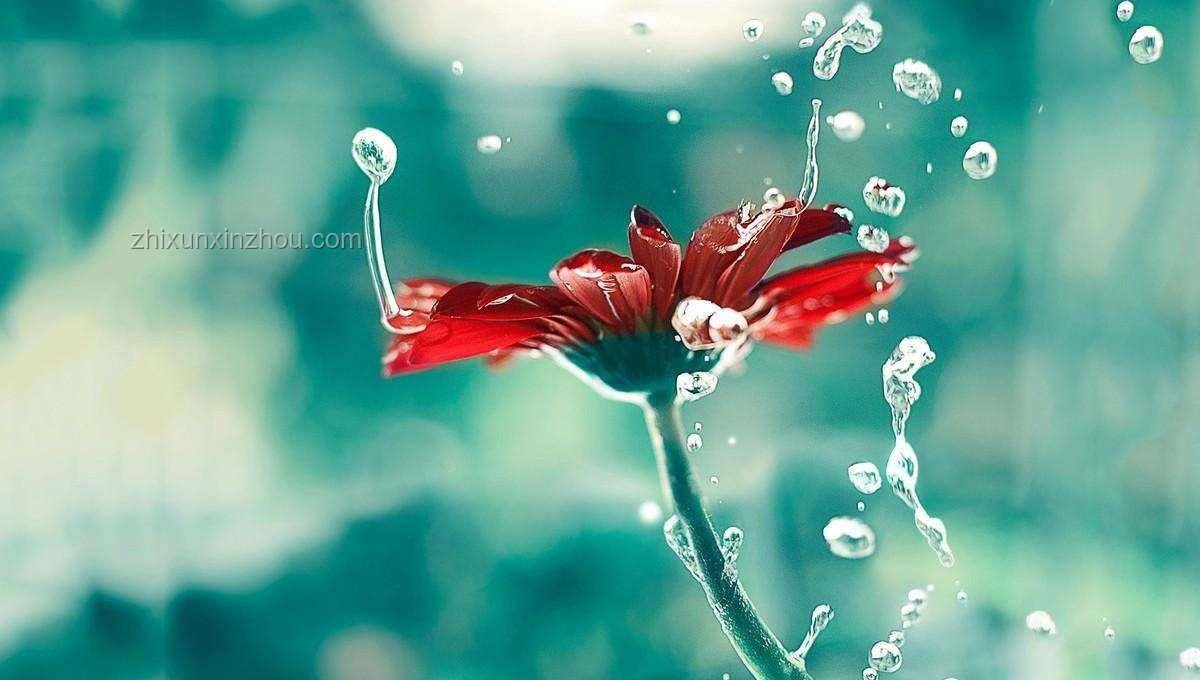 七月幸福與雨滴的對比：探索幸福的細膩與普適性