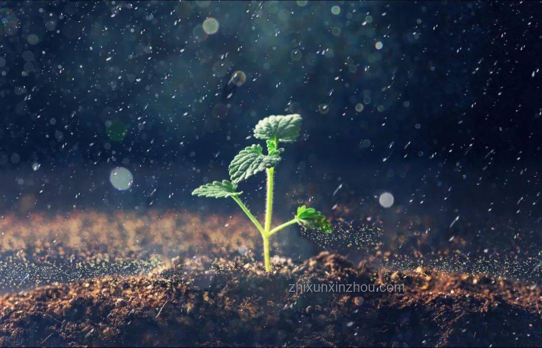 七月幸福與雨滴的對比：探索幸福的細膩與普適性
