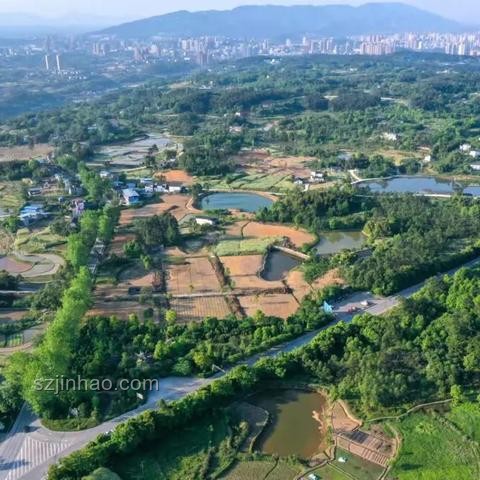 明星大咖匯聚永川，電影科技共繪未來新篇章