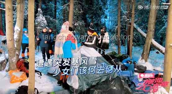 陳赫王勉林樹勇闖三角洲新圖：探險(xiǎn)與智慧的火花碰撞??