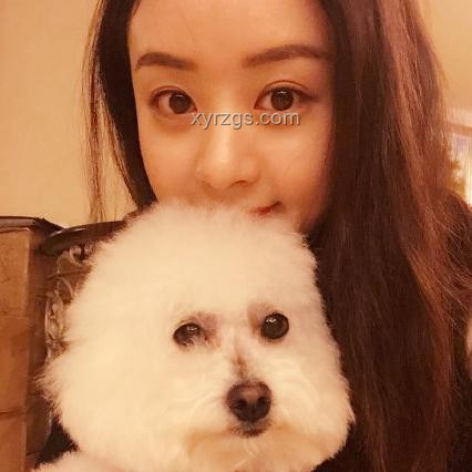 媽咪的可愛豬：萌寵經濟下的新趨勢預測