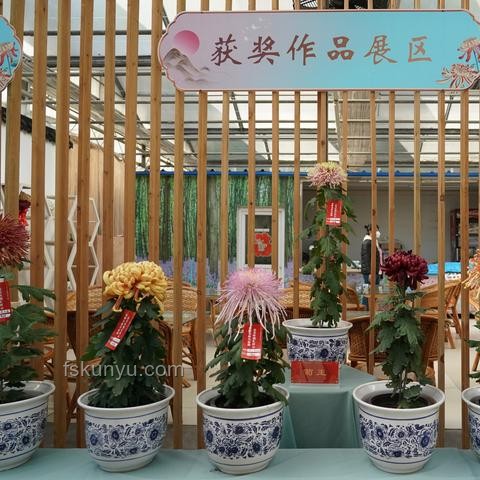 把好風(fēng)景拽過來：未來旅游業(yè)的沉浸式體驗革命