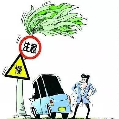預警如何跑贏山洪：實用防御指南