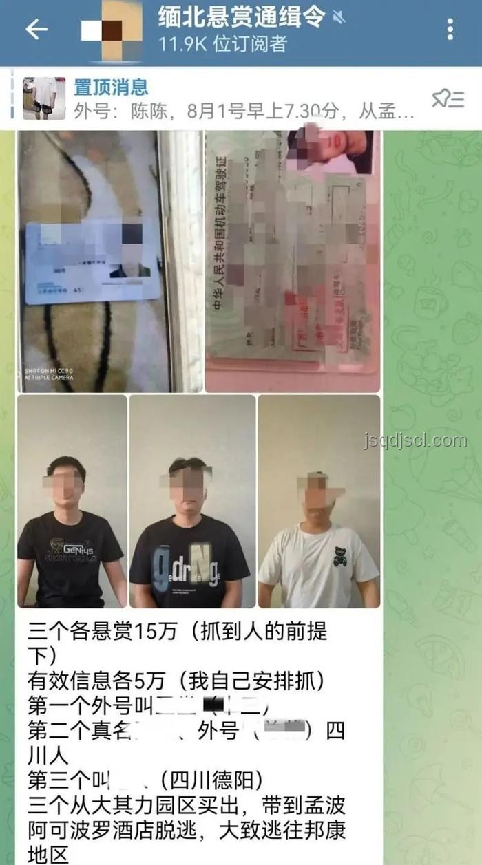 被騙至緬甸失聯模特獲救事件與跨國詐騙現象對比分析