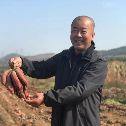 ??深圳教師辭職記：高薪背后的抉擇與成長