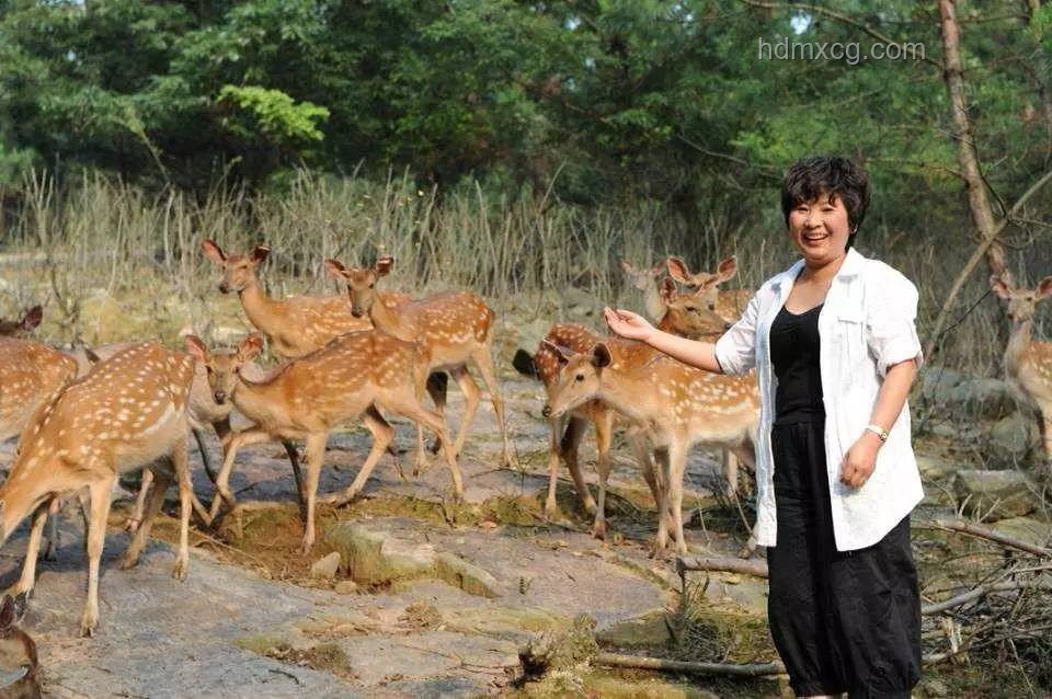 《跑男》碳粉大戰：白鹿變黑鹿的趣味瞬間