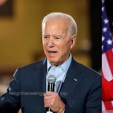 美眾議院表決通過“大而美”法案案例研究
