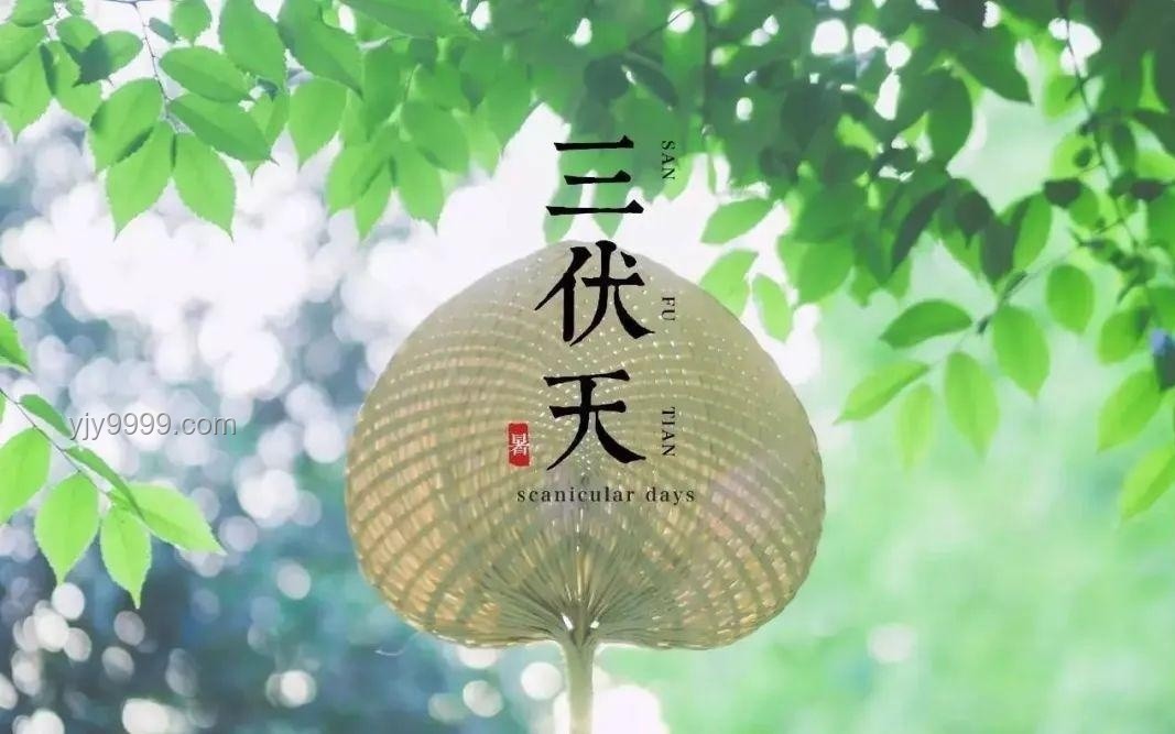 今年三伏天10年難遇，有何特殊講究？