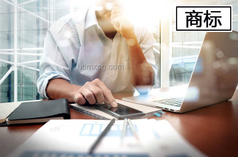 婆婆家的極致清潔走紅網絡：家務管理藝術探索