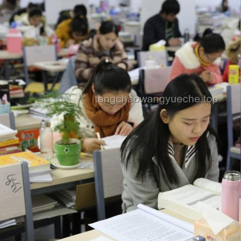 211光環or保研率？創新擇校新視角解鎖！