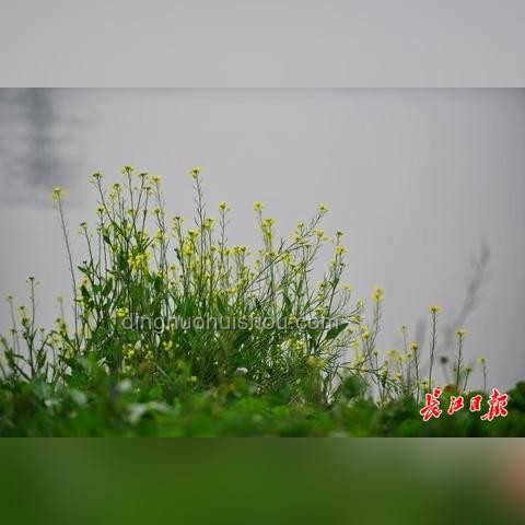 武漢真的很熱？北方人去了如何應(yīng)對(duì)？