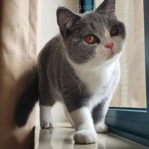 職場實踐學習：看書VS其他途徑的對比分析