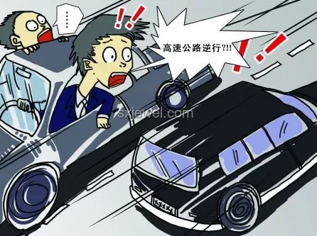 獨庫公路逆行囂張認罰：交通違規與行業治理新挑戰