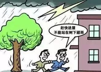 成都暴雨后家居安全新趨勢：防水插座與智能預警系統興起
