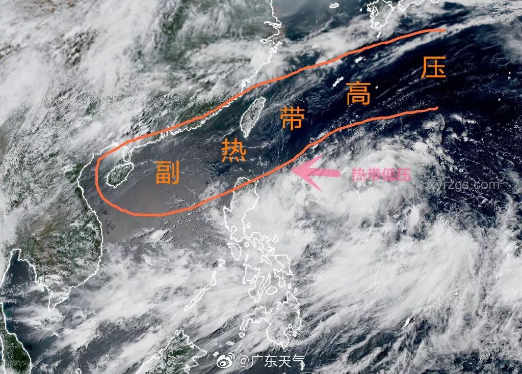 ???親歷“丹娜絲”：福建沿海的臺風記憶與防范攻略