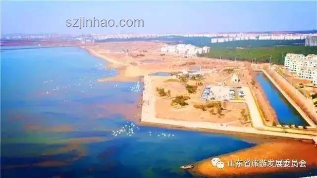 航拍視角下的山東艦夜泊維多利亞港