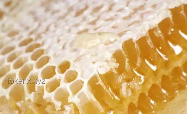 廚房現蜂巢，如何安全處理并收獲20斤蜂蜜