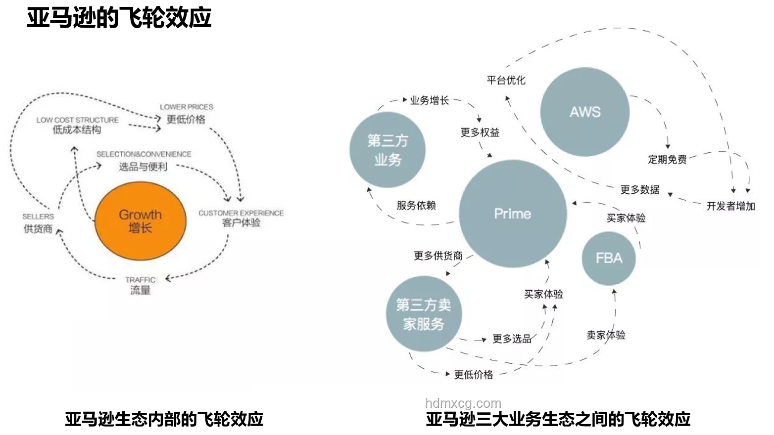 【鬼谷說】耳鼻喉演化路徑對比分析：探索器官演化的奇妙賽道