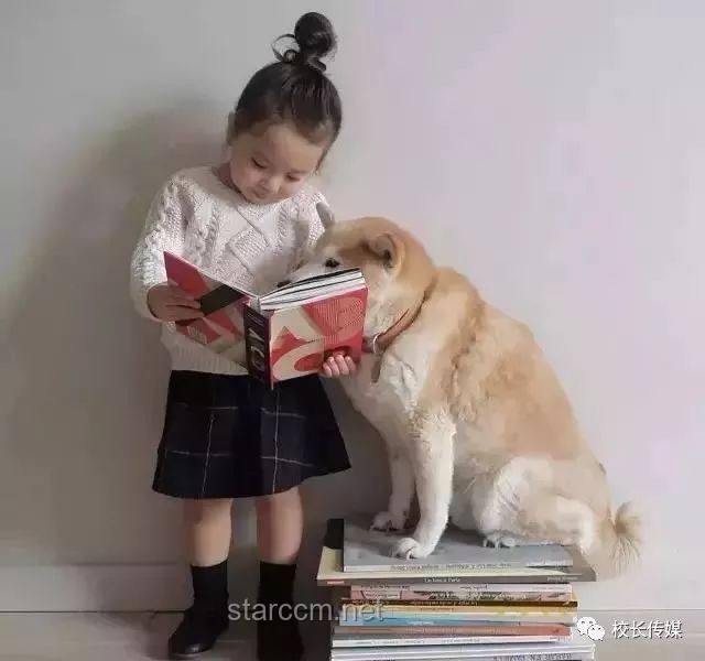 村口狗吠背后的思考：如何在渾濁中保持清白