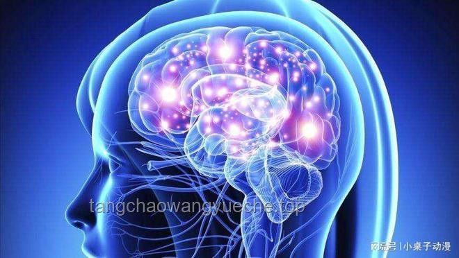 “腦腐”現(xiàn)象解析與緩解策略
