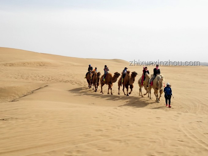 穿越沙漠：青春旅行團(tuán)11見證罕見美景的深度解析