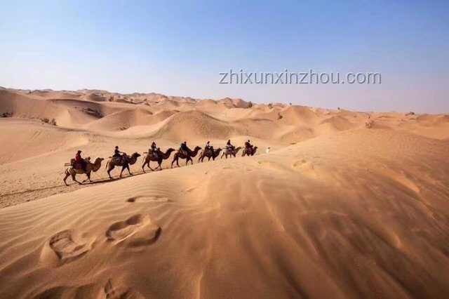 穿越沙漠：青春旅行團(tuán)11見證罕見美景的深度解析